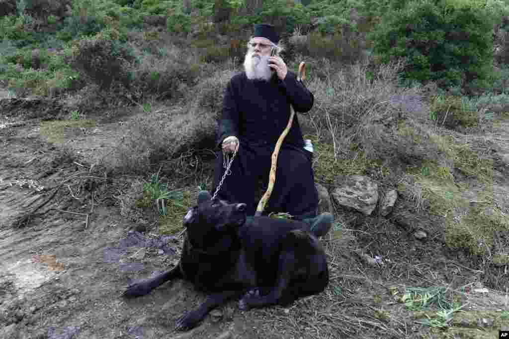 A Greek Orthodox priest speaks on his cellphone as he holds a dog at a roadblock in Karava, on the northeastern Aegean island of Lesbos.