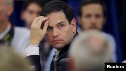 Senador Marco Rubio.