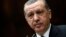 Turkey's Prime Minister Tayyip Erdogan addresses members of parliament from his ruling AK Party (AKP) in Ankara, April 16, 2013 file photo.