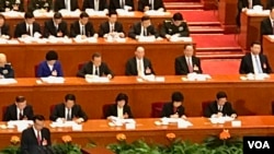 資料照：中國的橡皮圖章人大會議（2017年3月5日 美國之音葉兵拍攝）