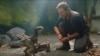 'Jurassic World: Fallen Kingdom' ไม่ย่อต่อหินภูเขาไฟ รั้งตำแหน่งได้เหมือนเดิม 