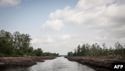 Cette photographie a été prise le 8 juin 2016, montrant une digue dans le delta du Niger, une région riche en pétrole qui a vu la montée du nombre d'attaques de rebelles.