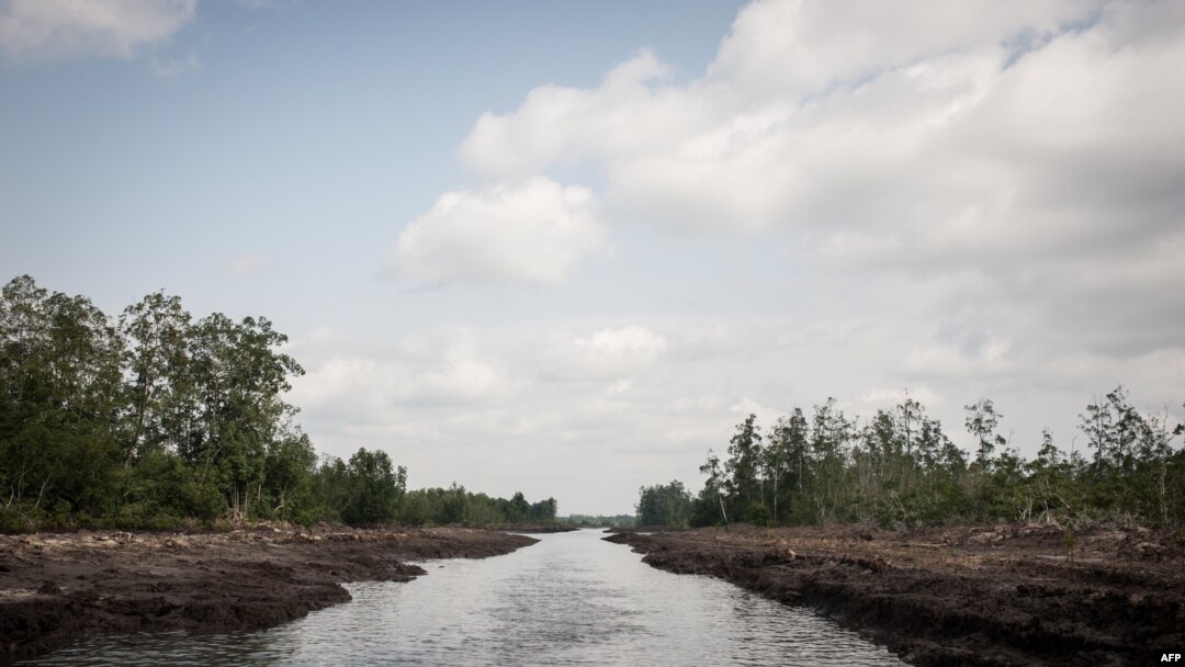 FILE - This picture taken on June 8, 2016 shows a waterway in the Niger Delta. The oil rich Delta region in Nigeria has seen the rise of a new militant group that has vowed to cripple the economy, due to the actions of the Delta Avengers Nigeria’s oil production has dropped to a 20-year low drastically affecting economy. 