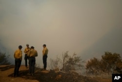 Vatrogasci u Malibuu, u Kaliforniji (Foto: AP/Eric Thayer)