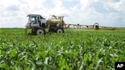Para petani di Amerika banyak menggunakan teknologi GPS dalam menggarap lahannya untuk efektivitas kerja (foto:dok). 