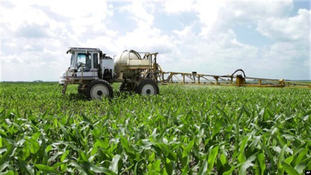 DPR AS menyediakan dukungan lebih banyak untuk petani jagung, gandum, kapas dan komoditas lainnya jika harga komoditas itu jatuh (foto: dok).