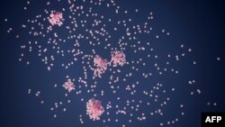 FILE - 1200 pink balloons flying in the sky of Sofia, Bulgaria, as part of a campaign to raise awareness and promote prevention and treatment of breast cancer, Oct. 29, 2013. 
