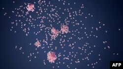 1200 pink balloons flying in the sky of Sofia, Bulgaria, as part of a campaign to raise awareness and promote prevention and treatment of breast cancer, Oct. 29, 2013. 