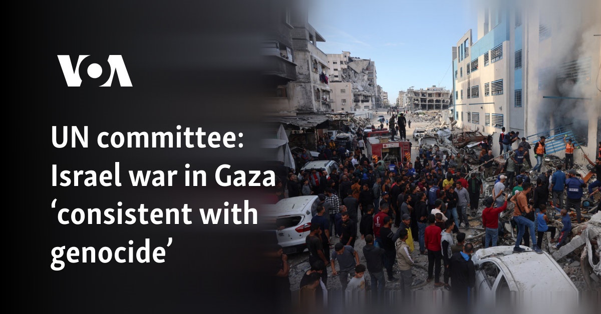 UN committee: Israel war in Gaza ‘consistent with genocide’