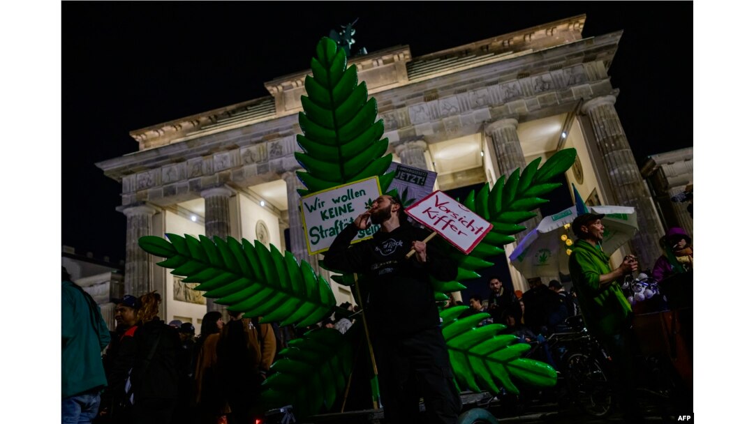 Aksi seorang penghisap ganja di depan pohon ganja tiruan berukuran rakasasa, di luar Gerbang Brandenburg Berlin, Jerman, 1 April 2024 (John MACDOUGALL / AFP)