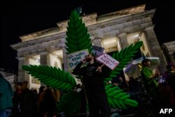 Aksi seorang penghisap ganja di depan pohon ganja tiruan berukuran rakasasa, di luar Gerbang Brandenburg Berlin, Jerman, 1 April 2024 (John MACDOUGALL / AFP)