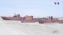 Aral dənizinin səhraya çevrilməsinin qarşısı necə alınır?