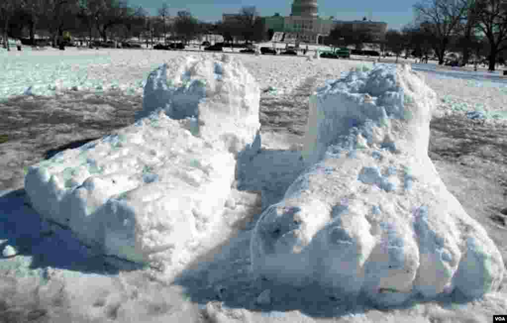 华盛顿国会山前的雪景-一双大脚