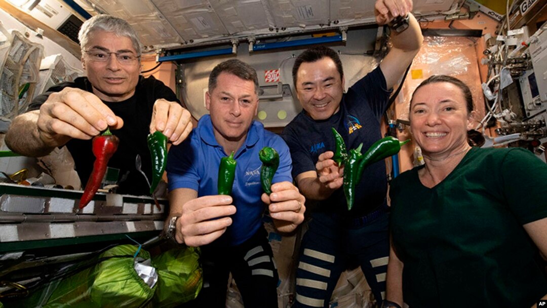 Para astronaut di Stasiun Antariksa Internasional (ISS) 