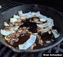 Brian Schwatken in Arlington, Virginia, fries cicadas with butter, garlic and onions. 'They are tender and have a nutty taste,' he said. (Courtesy Brian Schwatken)