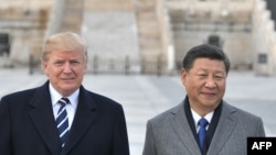 美国总统特朗普和中国国家主席习近平在紫禁城合影。(2017年11月8日)