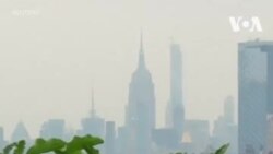 Огород на крыше