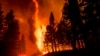 California Utility to Pay $55 Million for Massive Wildfires 