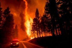 FILE - Flames leap from trees as the Dixie Fire jumps Highway 89 north of Greenville in Plumas County, Calif., Aug. 3, 2021.