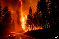 FILE - Flames leap from trees as the Dixie Fire jumps Highway 89 north of Greenville in Plumas County, Calif., Aug. 3, 2021.