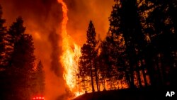 FILE - Flames leap from trees as the Dixie Fire jumps Highway 89 north of Greenville in Plumas County, Calif., Aug. 3, 2021.