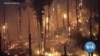 Fires March Ahead in US Western Coast 