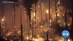 Fires March Ahead in US Western Coast 