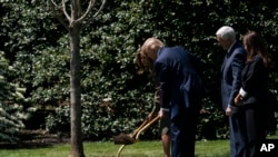 Predsednik Tramp posadio je drvo u dvorištu Bele kuće u čast Dana Zemlje 2020.