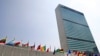 هشدار سازمان ملل متحد نسبت به افزایش شمار رزمندگان خارجی 