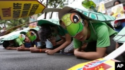 Para demonstran berkostum penyu laut saat melakukan protes di Konsulat China di Makati city, sebelah timur Manila, Filipina, Mei 2014 (Foto: dok).