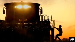 Un granjero sube a su máquina cosechadora de maíz en Pleasant Plains, Illinois.