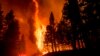 Fewer Companies Offering Homeowners Fire Coverage in California