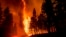 FILE - Flames leap from trees as the Dixie Fire jumps Highway 89 north of Greenville in Plumas County, Calif., Aug. 3, 2021.