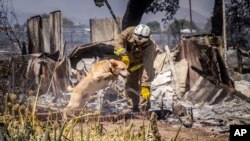 Petugas pemadam kebakaran di San Bernardino County berupaya melakukan pencarian korban di sepanjang rute 138 di Phelan, California, 17 Agustus 2016 (Foto: dok). 