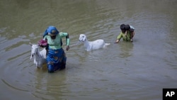 A woman pulls a goat as she wades out of the flood waters in the Badin district of Pakistan's Sindh province, September 22, 2011.