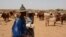 FILE: Cattle herders just south of Douentza, Mali, June 24, 2016. 