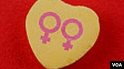 La CIDH es un órgano principal y autónomo de la Organización de los Estados Americanos (OEA), cuyo mandato surge de la Carta de la OEA y de la Convención Americana sobre Derechos Humanos.