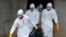 Medical workers of the Liberian Red Cross, wearing a protective suit, carry the body of a victim of the Ebola virus in a bag on Sept. 4, 2014 in the small city of Banjol, 30 kilometers from Monrovia. 
