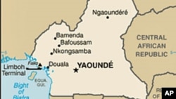 Raid Frees Foreign Hostages In Cameroon