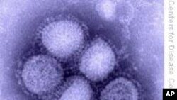 Health Officials Warn of Sicker Swine Flu Patients