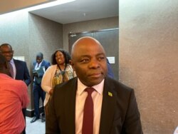 Stephen Kampyongo, Zambia's Minister of Home Affairs, says the southern African nation and the rest of Africa still have a way to go in ensuring that every African child is registered at birth, Lusaka, Oct. 15, 2019. (C. Mavhunga/VOA)