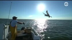 Настоящее Время. Америка – 11 июля 2017