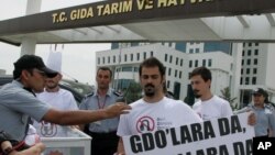 지난 2013년 5월 터키 앙카라의 농업부 청사 앞에서 환경단체 그린피스 회원들이 유전자변형농산물, GMO 반대 시위를 벌이고 있다.