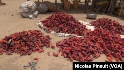 Le poivron rouge, aussi appelé l'or du Manga, sur le marché de Bosso dans la région de Diffa, Niger, le 19 avril 2017 (VOA/Nicolas Pinault)