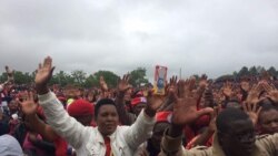 Udaba Esilethulelwe NguAnastacia Ndlovu