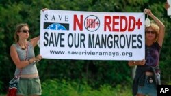 FILE - Two protesters from environmental groups protest holding up a banner against the REDD, the UN program to reduce deforestation and forest degradation in developing countries.