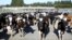 FILE - In this Aug. 28, 2015, file photo, cows stand in a pen before they are milked on a dairy farm near Carterton, New Zealand. In New Zealand there are twice as many cows as people.