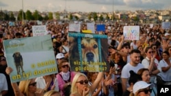 Ribuan demonstran berkumpul di Istanbul pada hari Minggu (1/9) untuk memrotes UU yang disetujui oleh legislator Turki yang bertujuan untuk membunuh anjing-anjing liar dari jalanan negara tersebut. 