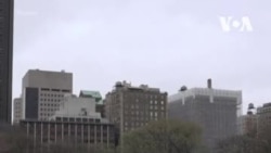 Госпиталь в Центральном парке