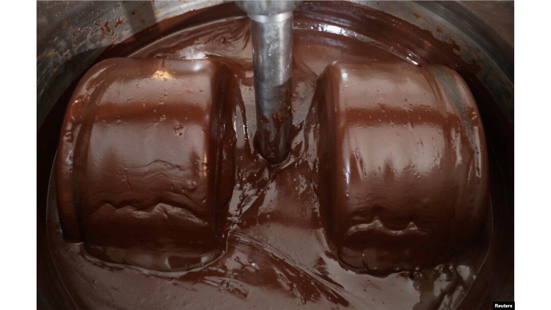 Cokelat organik yang dibuat dari biji kakao yang digiling dengan bantuan sepeda di sebuah pabrik di Abidjan, Pantai Gading, 10 Januari 2019.